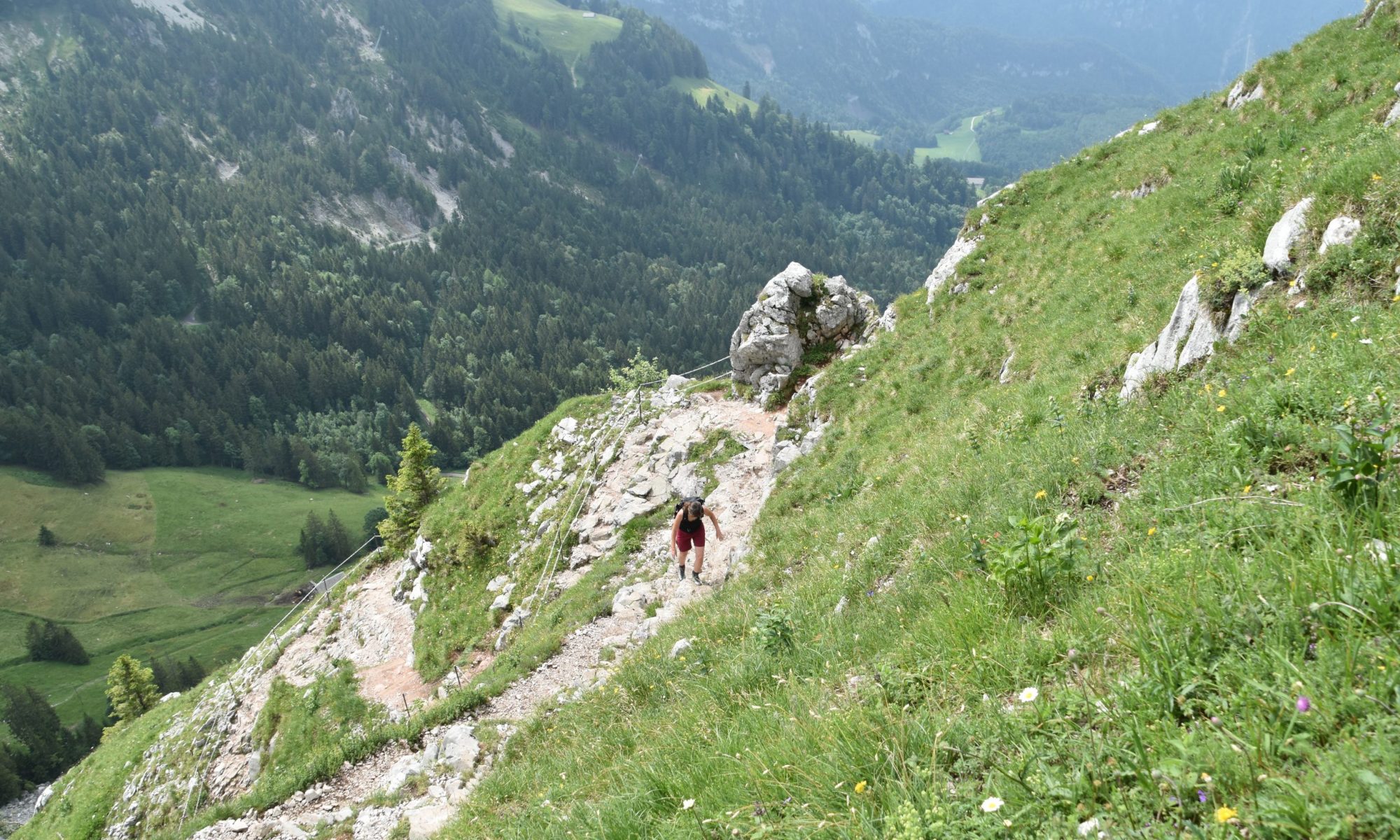 Barbara zig-zagging her way up the mountain