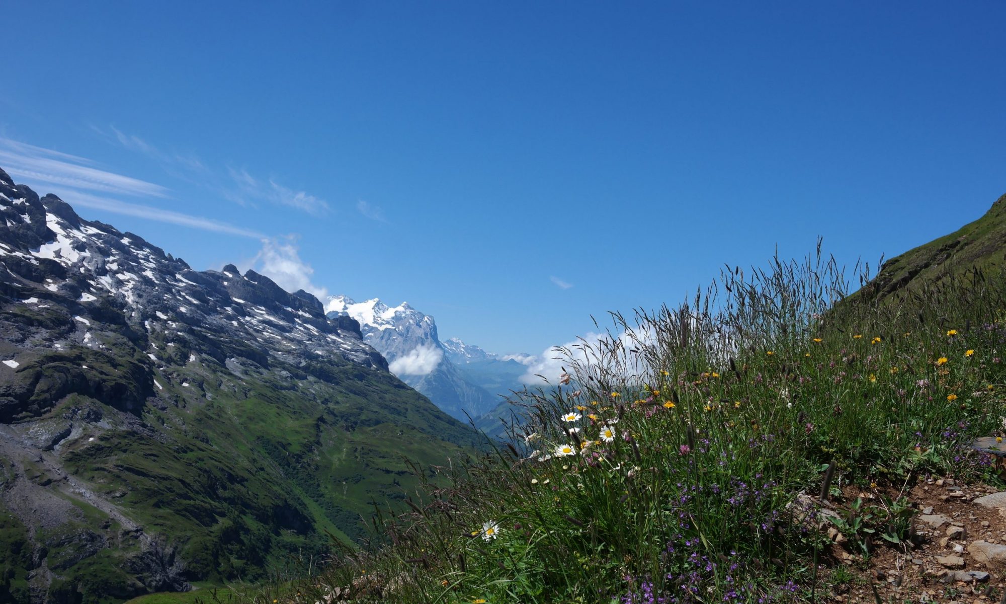 View down the valley